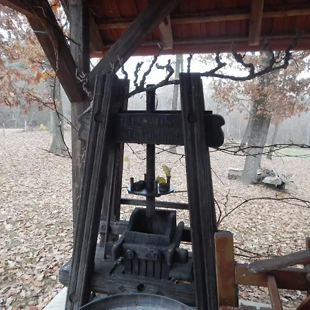 Kellerstoeckl Postrumer Weinberg 49 Kulm im Burgenland Esterno foto