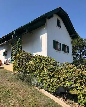 Kellerstoeckl Postrumer Weinberg 49 Kulm im Burgenland Esterno foto