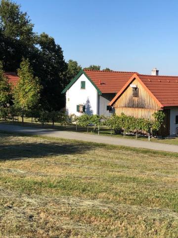 Kellerstoeckl Postrumer Weinberg 49 * Kulm im Burgenland