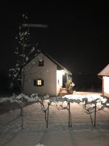 Kellerstoeckl Postrumer Weinberg 49 Holiday home *