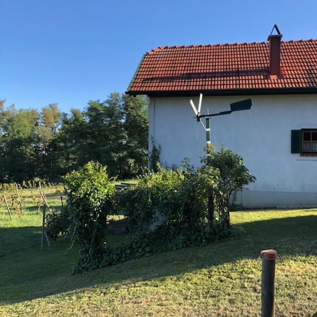 Kellerstoeckl Postrumer Weinberg 49 Holiday home Kulm im Burgenland