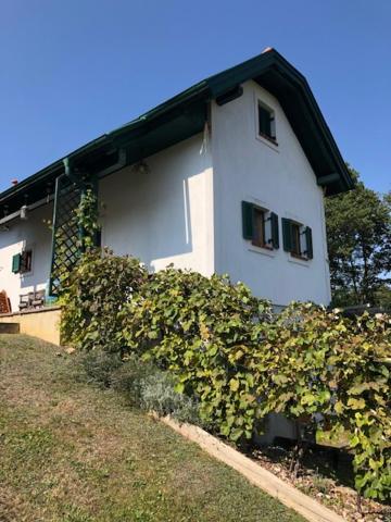 Holiday home Kellerstoeckl Postrumer Weinberg 49 Kulm im Burgenland