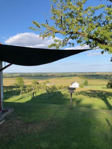 Kellerstoeckl Postrumer Weinberg 49 Holiday home *
