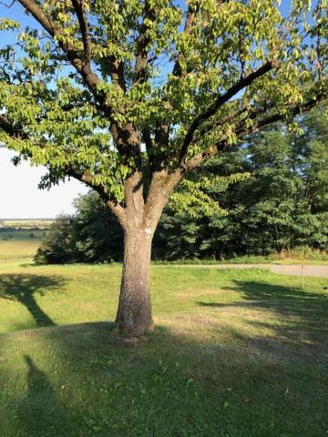 Holiday home Kellerstoeckl Postrumer Weinberg 49