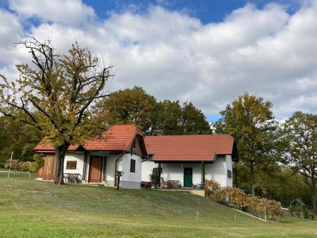 Kellerstoeckl Postrumer Weinberg 49 Kulm im Burgenland