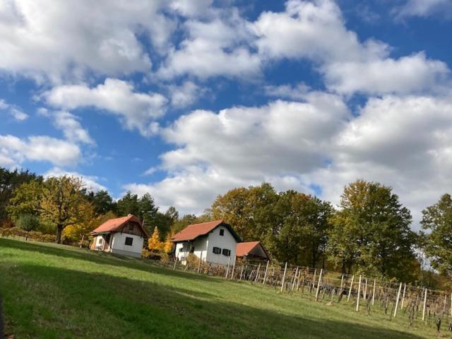Kellerstoeckl Postrumer Weinberg 49 Holiday home *