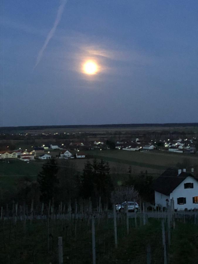 Kellerstoeckl Postrumer Weinberg 49 Holiday home *