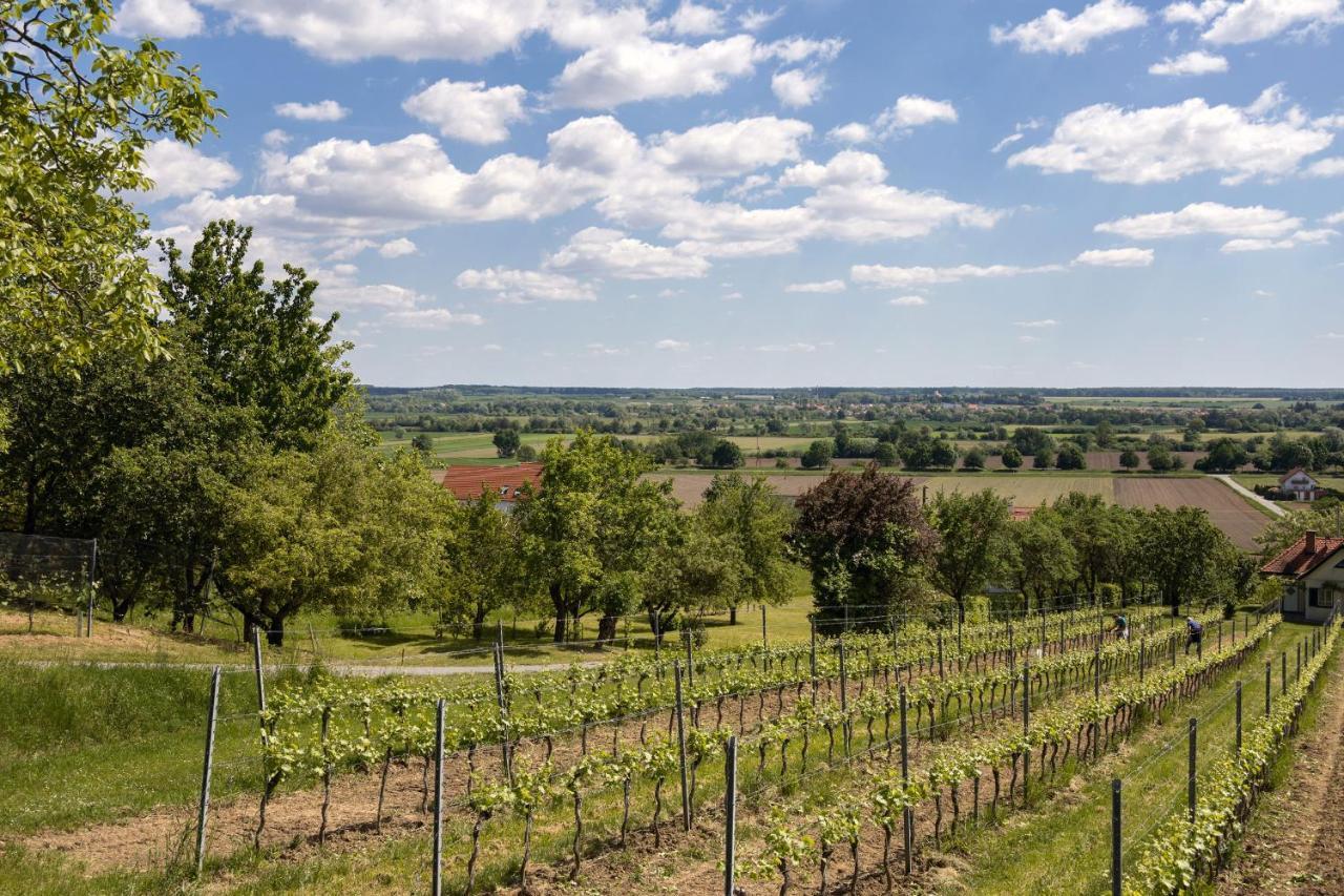 Kellerstoeckl Postrumer Weinberg 49 Holiday home