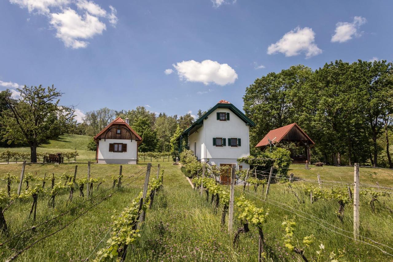 Kellerstoeckl Postrumer Weinberg 49 Holiday home *