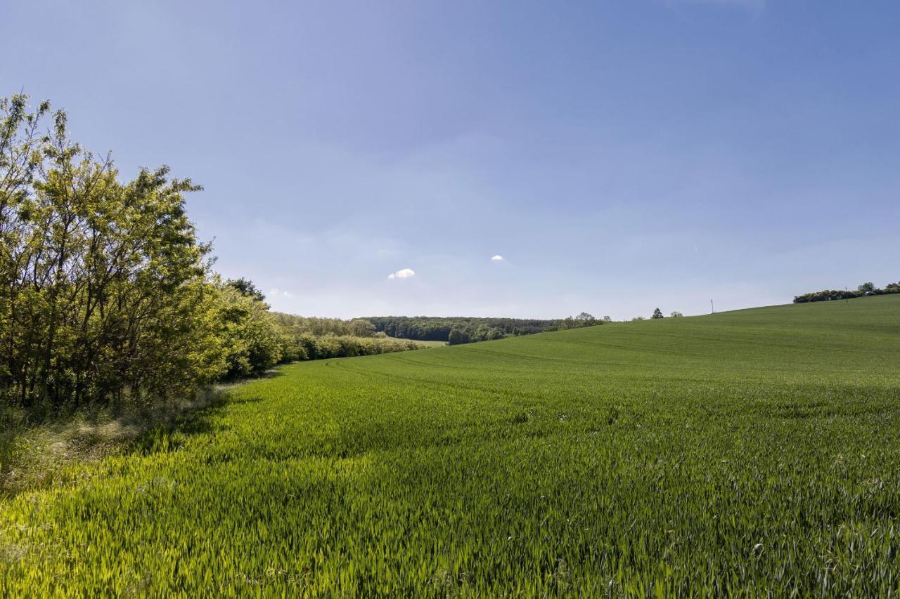 Holiday home Kellerstoeckl Postrumer Weinberg 49 Kulm im Burgenland