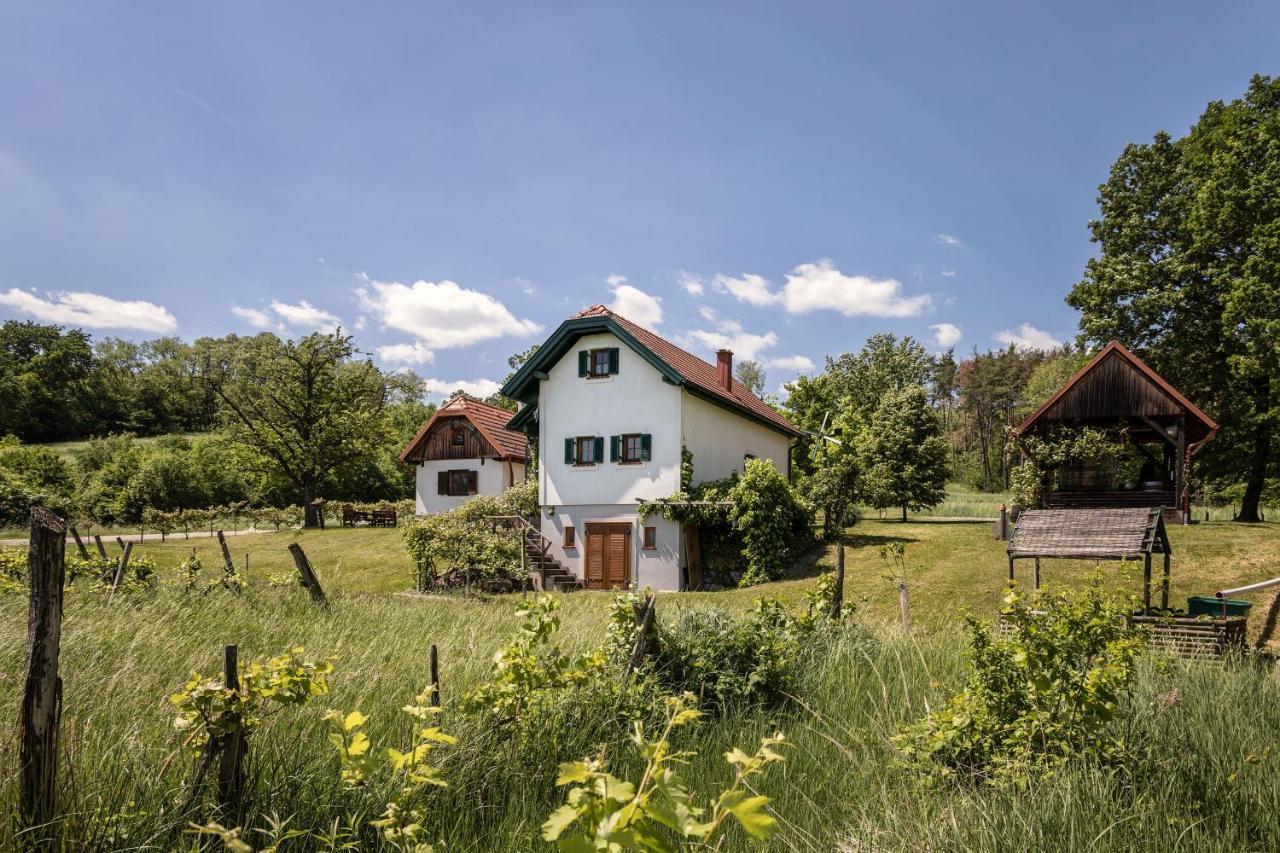 Holiday home Kellerstoeckl Postrumer Weinberg 49 Kulm im Burgenland